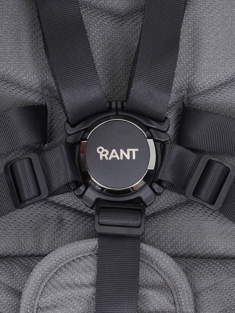 Коляска прогулочная Rant Flex Pro 2023 RA099 Grey