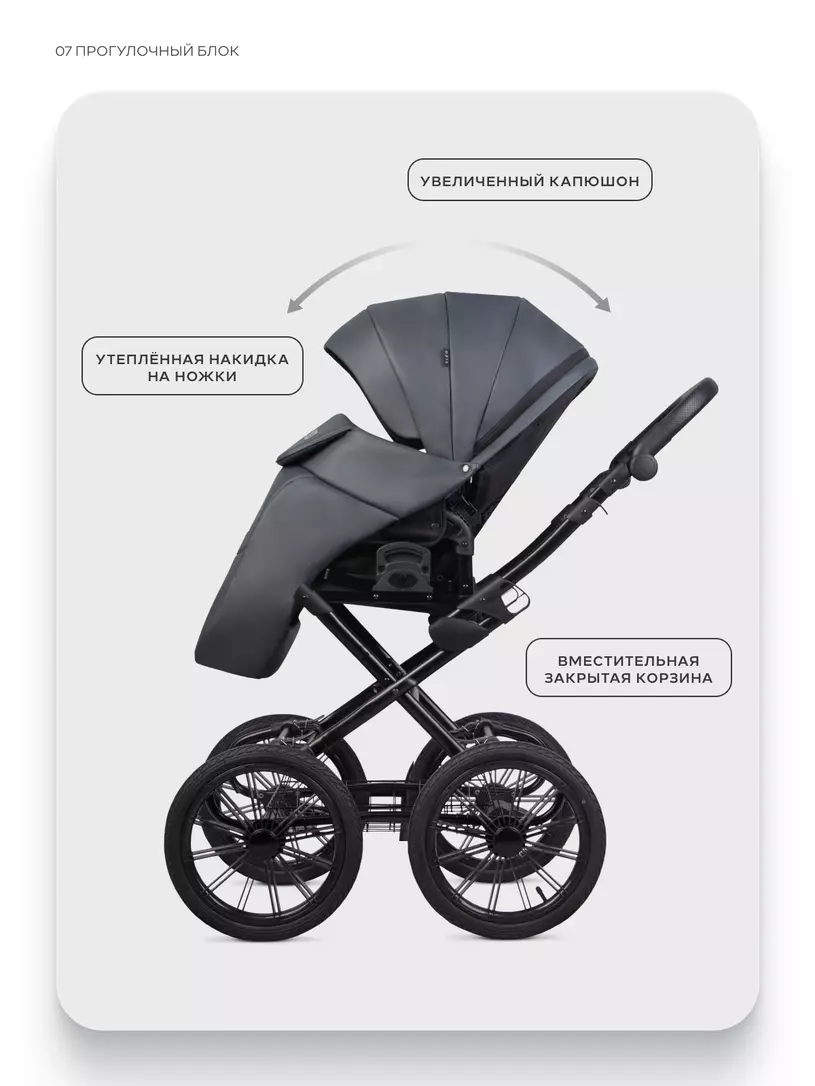 Коляска 2 в 1 Riko Basic Montana X Ecco Prestige 24 Graphite