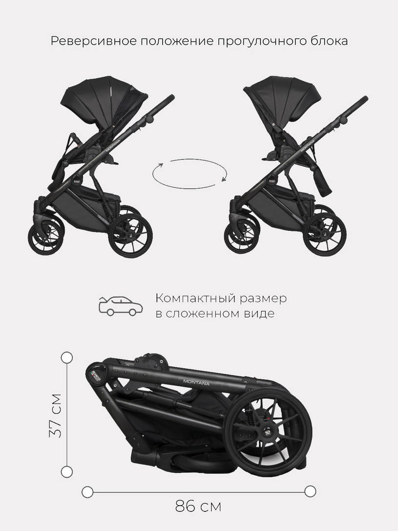 Коляска 2 в 1 Riko Basic Montana Ecco 12 Black черный
