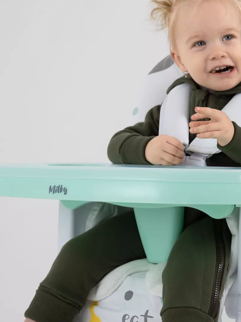 Стульчик для кормления Rant Basic Milky Mint