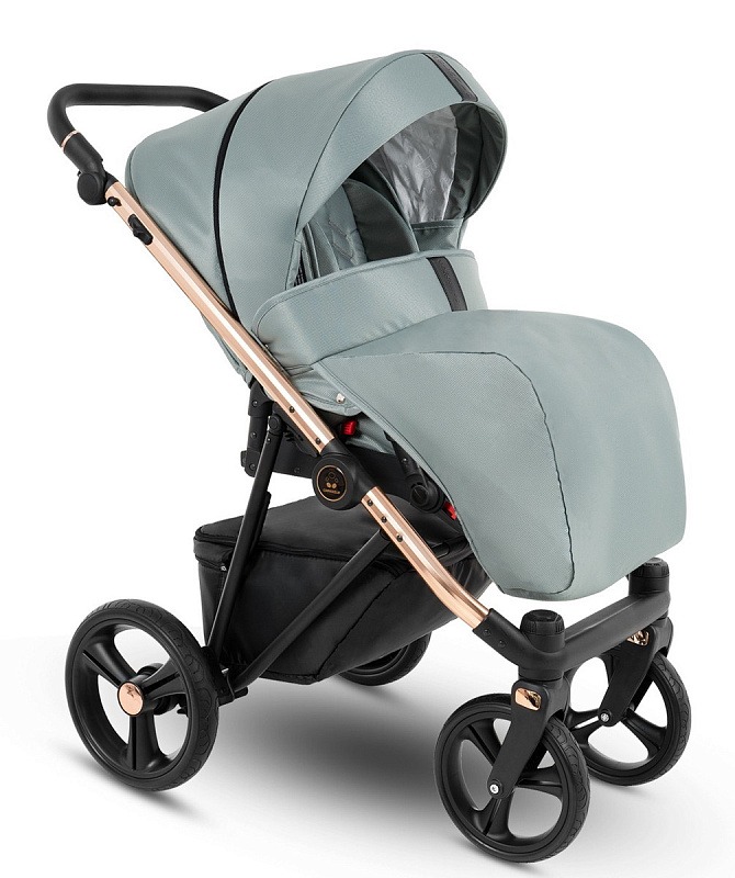 Коляска 2 в 1 Camarelo Belagio, BG-06 (Шалфей Жаккард)