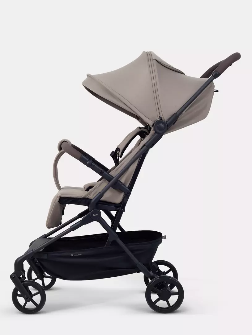 Коляска прогулочная Rant Avion Сarbon Cacao