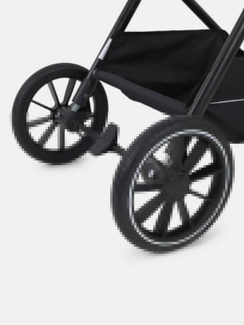 Коляска 2 в 1 Rant Moss Midnight black