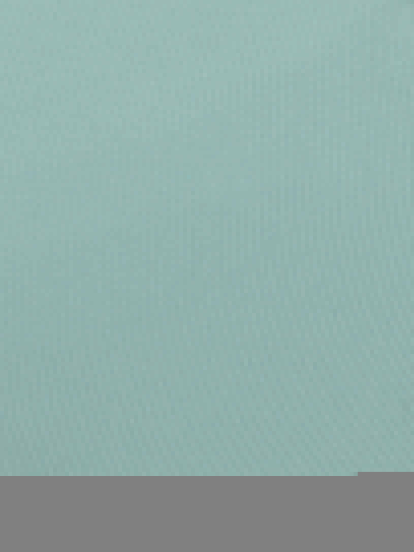 Коляска 2 в 1 RANT FLEX PRO 2023 RA074 GREEN