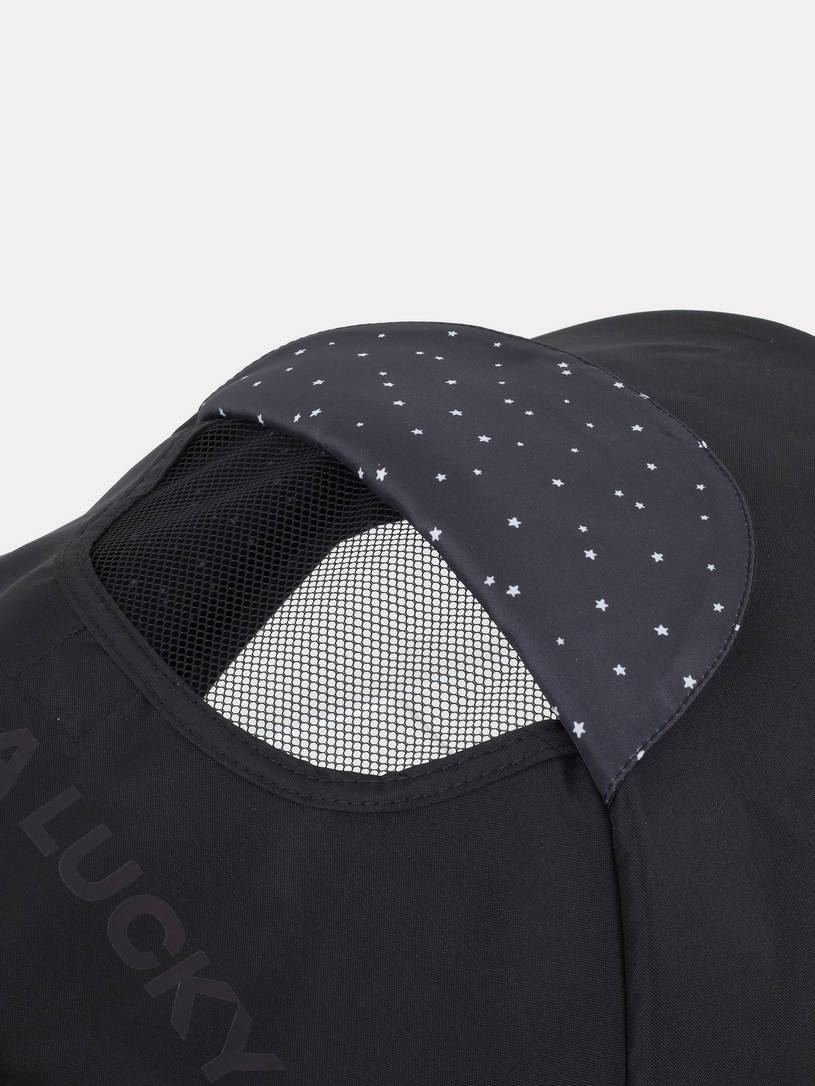 Коляска прогулочная Rant Basic Joy 2025 Gold Black