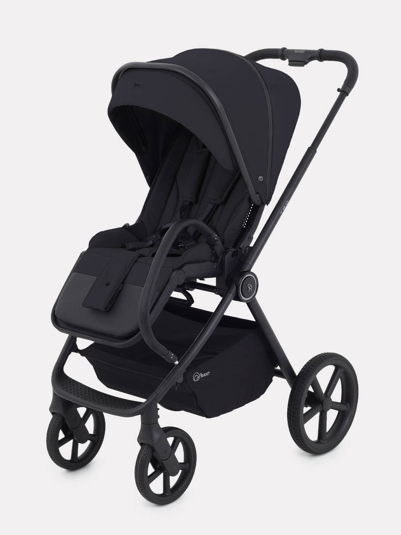 Коляска 2 в 1 Rant Teo Black