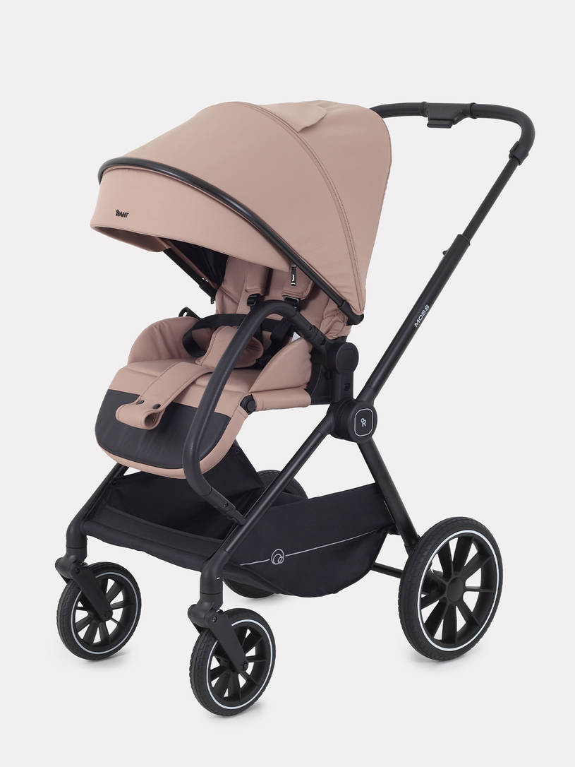 Коляска 2 в 1 Rant Moss Midnight black