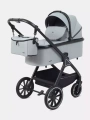 Коляска 2 в 1 Rant Basic Terra Grey