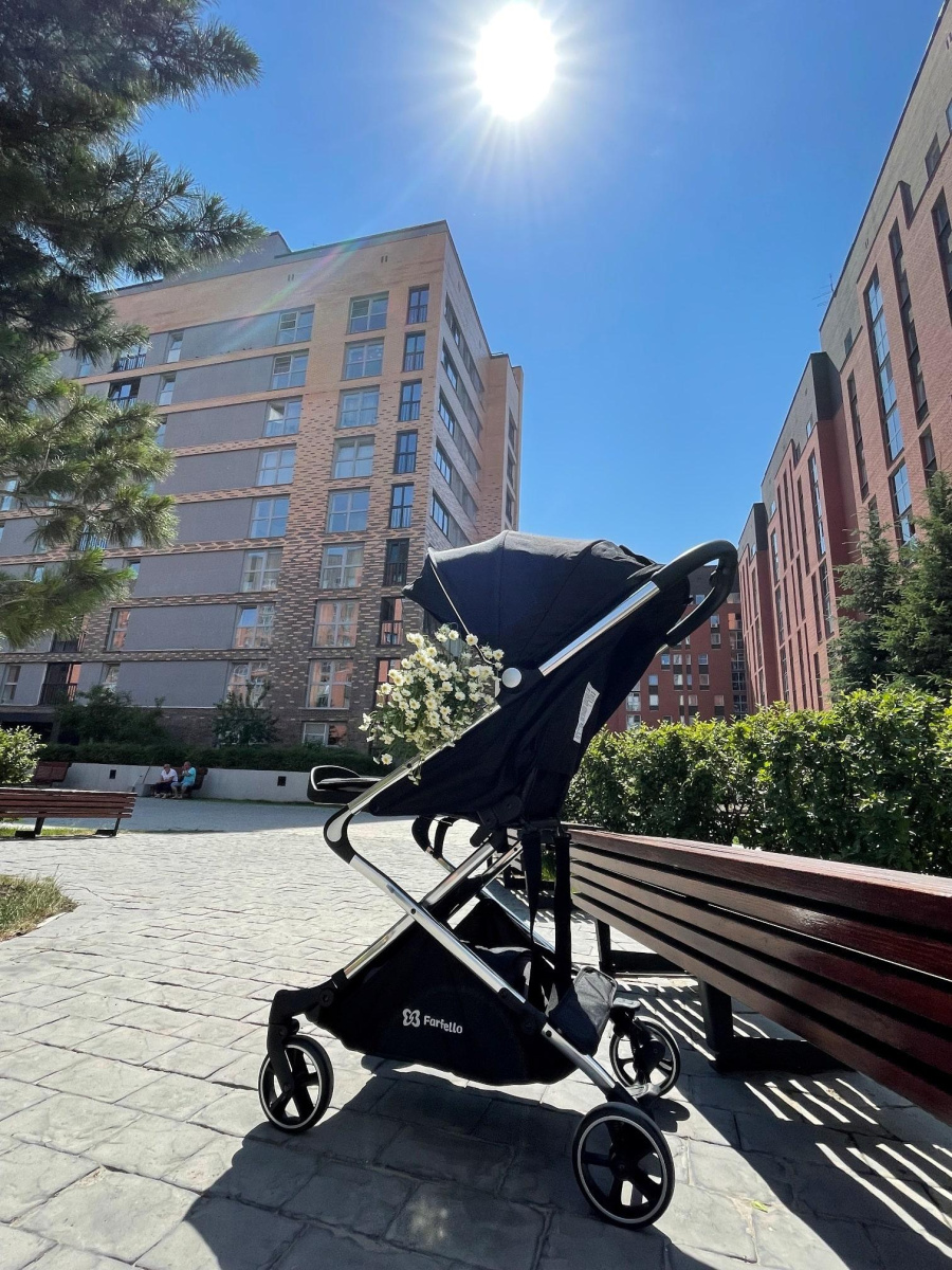 Коляска детская прогулочная Farfello Bliss  (Black/Черный)