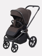 Коляска прогулочная Rant Flex Color Shine brown