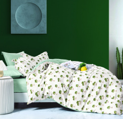 Постельное белье Tango Novella 2-спальный 2 наволочки TS02-X304-50 код1002