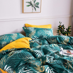 КПБ Dream Fly 2 спальный DF02-391-50 код1179