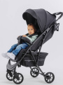 Коляска прогулочная Rant Largo 2024 Onyx black