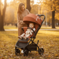 Коляска прогулочная Indigo MEGA терракот