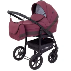 Коляска 2 в 1 Rant Patio Purple