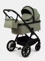 Коляска 2 в 1 Rant Basic Terra Olive