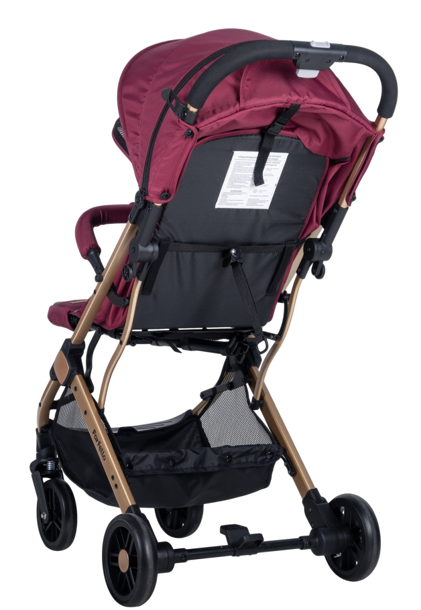 Коляска детская прогулочная Farfello Comfy Go (Cherry/ Вишня (золото) CG-66)