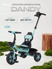 Велосипед 3-х колесный Rant Basic Dandy Mint