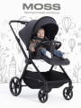 Коляска прогулочная Rant Moss 2025 Graphite