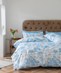 КПБ Dream Fly Евро 2 наволочки DF03-477 код1069