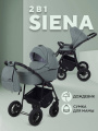 Коляска 2 в 1 Rant Siena 2024 05 зеленый
