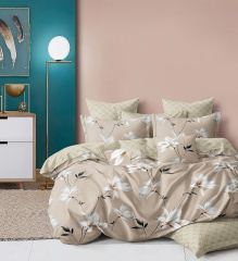 КПБ Dream Fly Евро 2 наволочки DF03-525 код1069