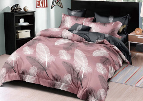 КПБ Dream Fly Евро 2 наволочки DF03-495 код1069