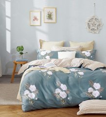 Twill евро 4 наволочки TPIG6-1530 КОД1038