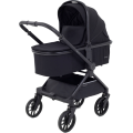 Коляска 2 в 1 Rant Vector Black